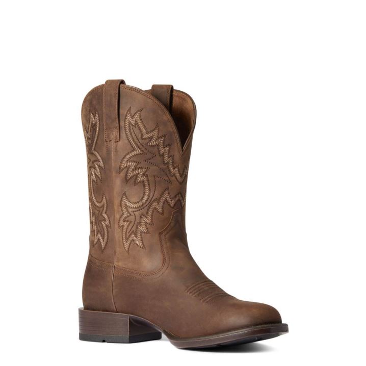 Ariat Stockman Ultra Western Boot Rjave | FIjNCjkV