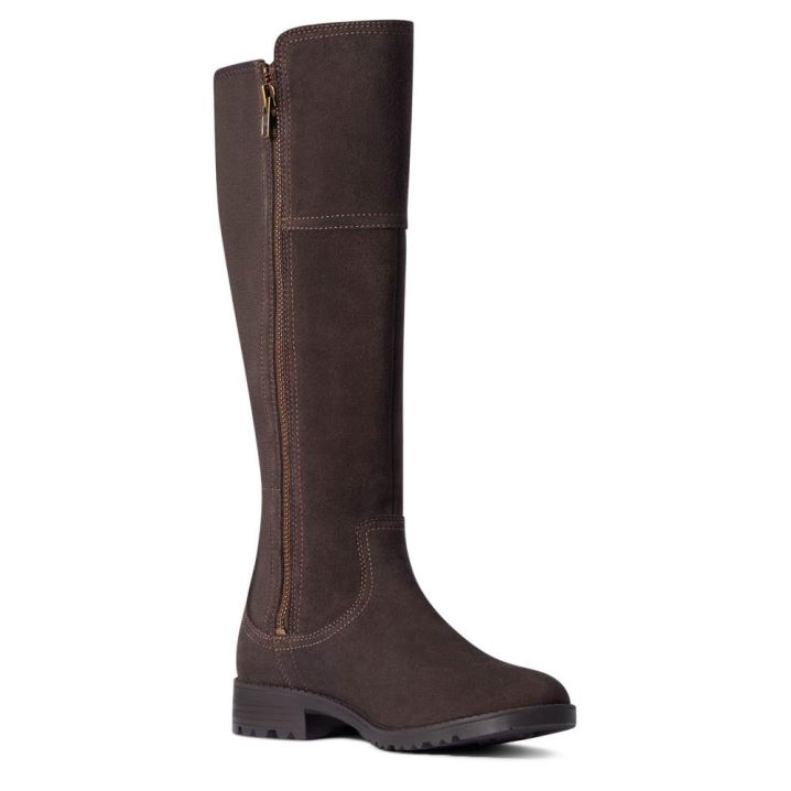 Ariat Sutton II Waterproof Boot Čokolade | mvinrLlc