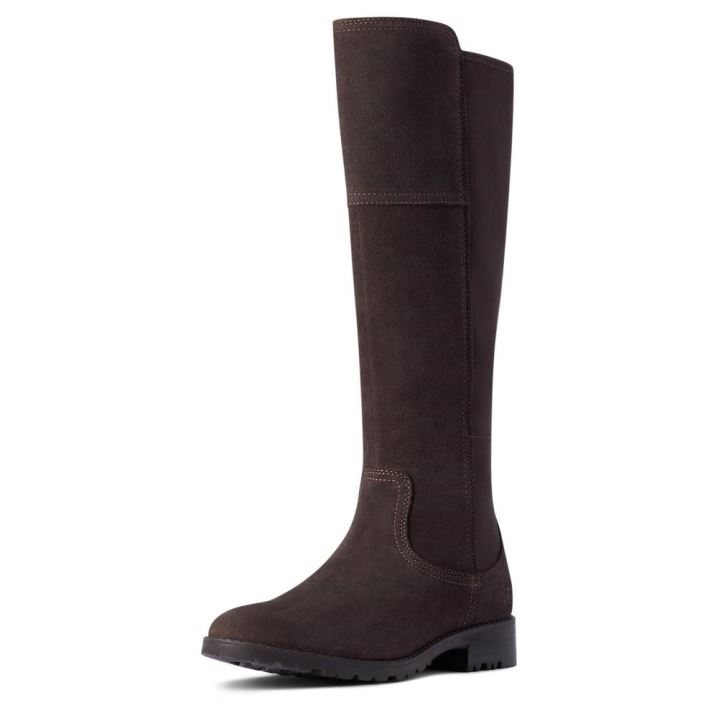 Ariat Sutton II Waterproof Boot Čokolade | mvinrLlc