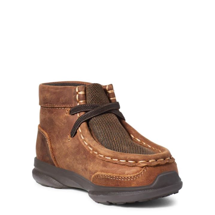 Ariat TODDLER LIL' STOMPERS HEATH SPITFIRE Rjave | T4OwjtdS