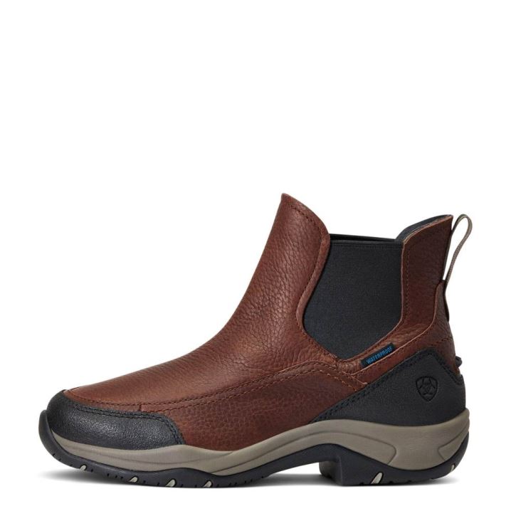 Ariat Terrain Blaze Waterproof Boot Temno Rjave | uGRAht1h