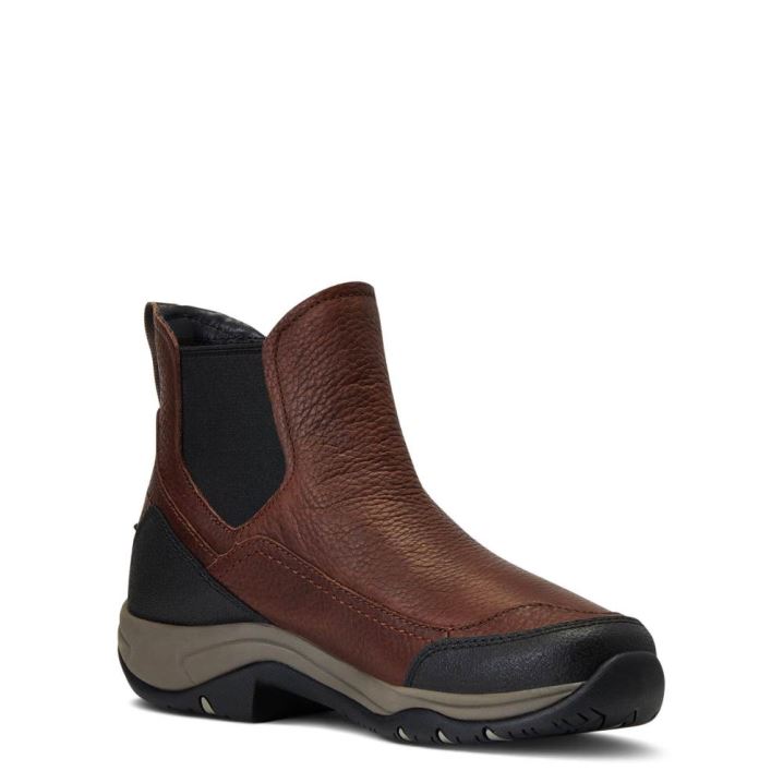 Ariat Terrain Blaze Waterproof Boot Temno Rjave | uGRAht1h