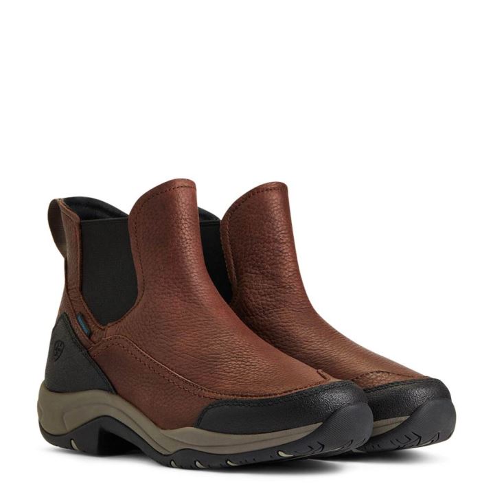 Ariat Terrain Blaze Waterproof Boot Temno Rjave | uGRAht1h