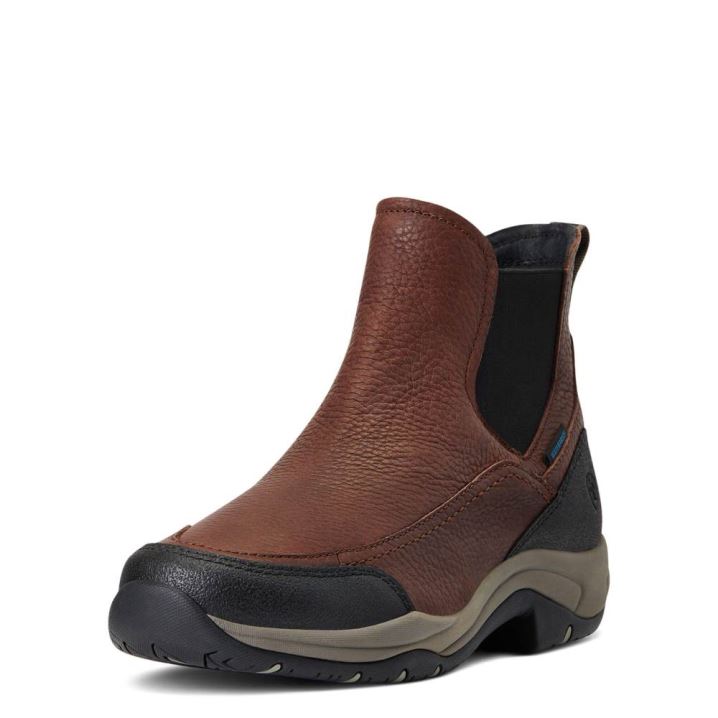 Ariat Terrain Blaze Waterproof Boot Temno Rjave | uGRAht1h