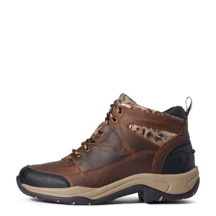 Ariat Terrain Boot Rjave | rK6zOrjg