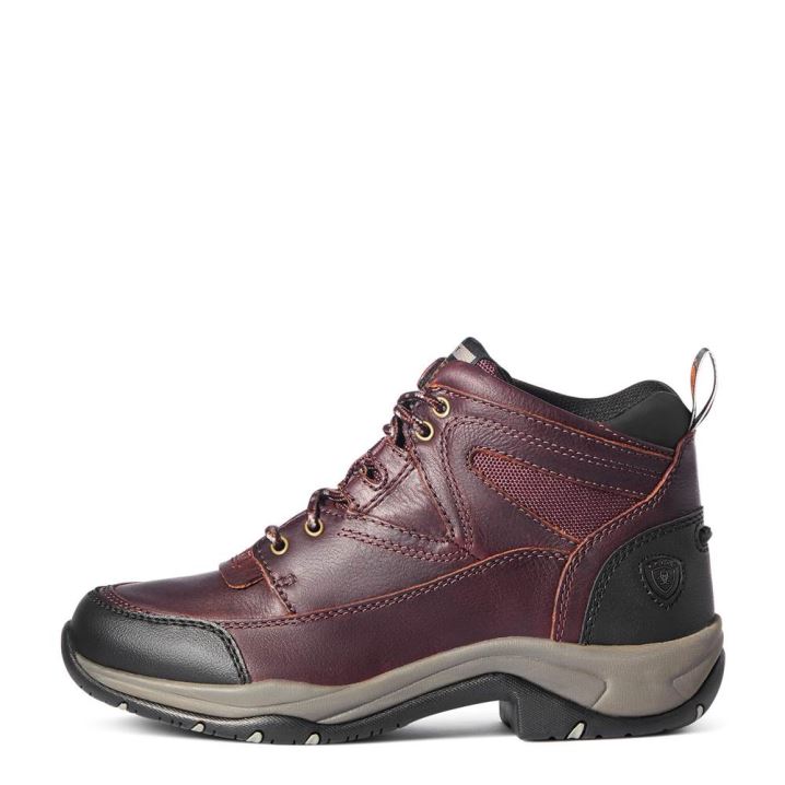 Ariat Terrain Boot Temno Rjave | LrbBjF9A