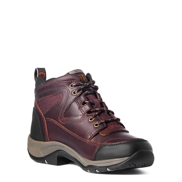 Ariat Terrain Boot Temno Rjave | LrbBjF9A