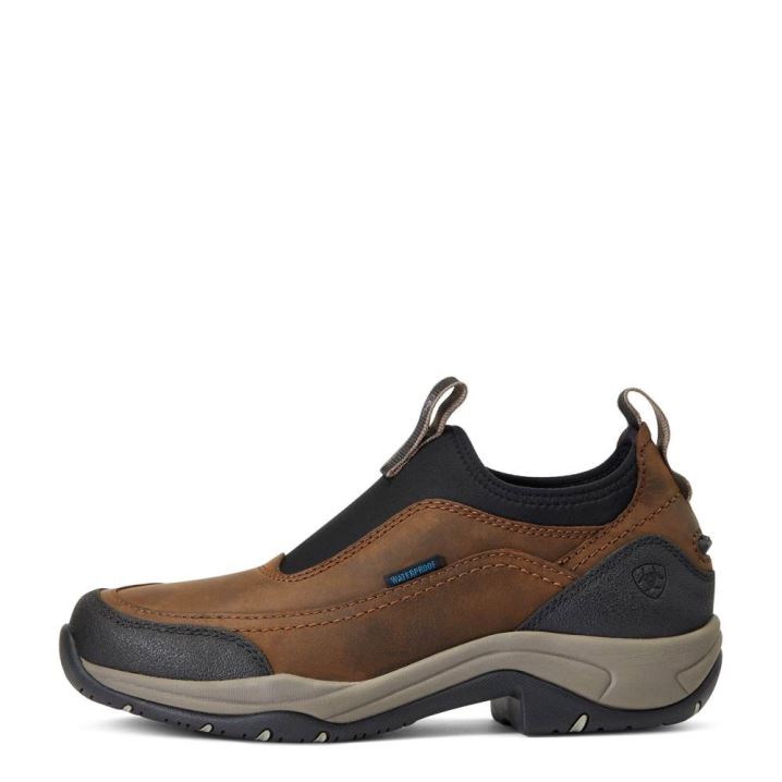 Ariat Terrain Ease Waterproof Rjave | Rnhcu7ST