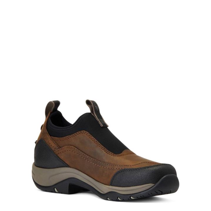 Ariat Terrain Ease Waterproof Rjave | Rnhcu7ST