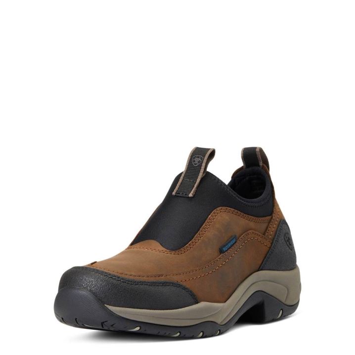 Ariat Terrain Ease Waterproof Rjave | Rnhcu7ST