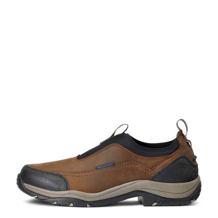 Ariat Terrain Ease Waterproof Rjave | c8wu0a6f