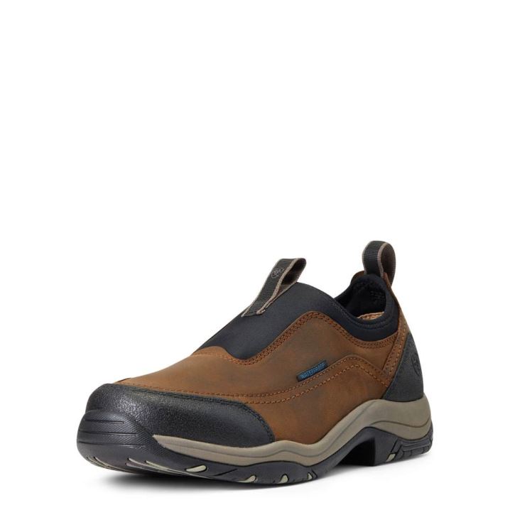 Ariat Terrain Ease Waterproof Rjave | c8wu0a6f