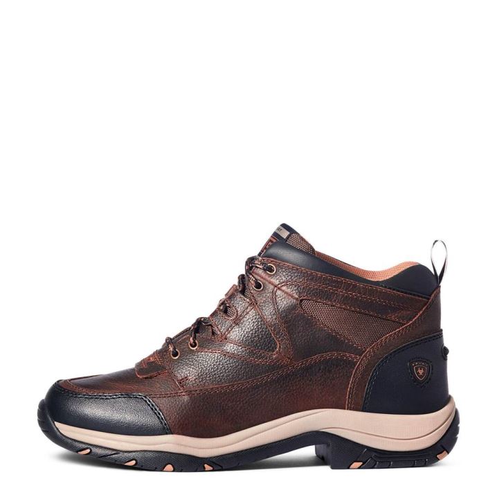 Ariat Terrain Rjave | pn79Nkb0