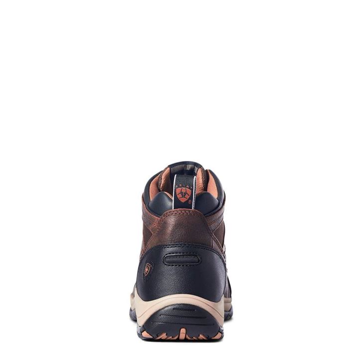 Ariat Terrain Rjave | pn79Nkb0