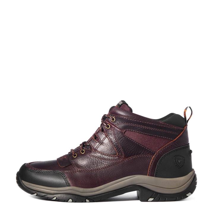 Ariat Terrain Temno Rjave | qRmexe7m