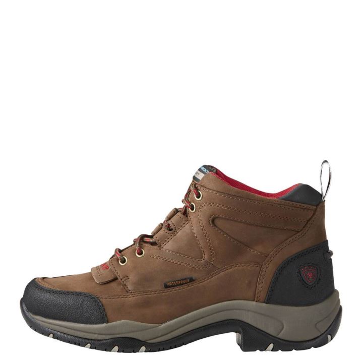 Ariat Terrain Waterproof Boot Rjave | zQrki4Lu