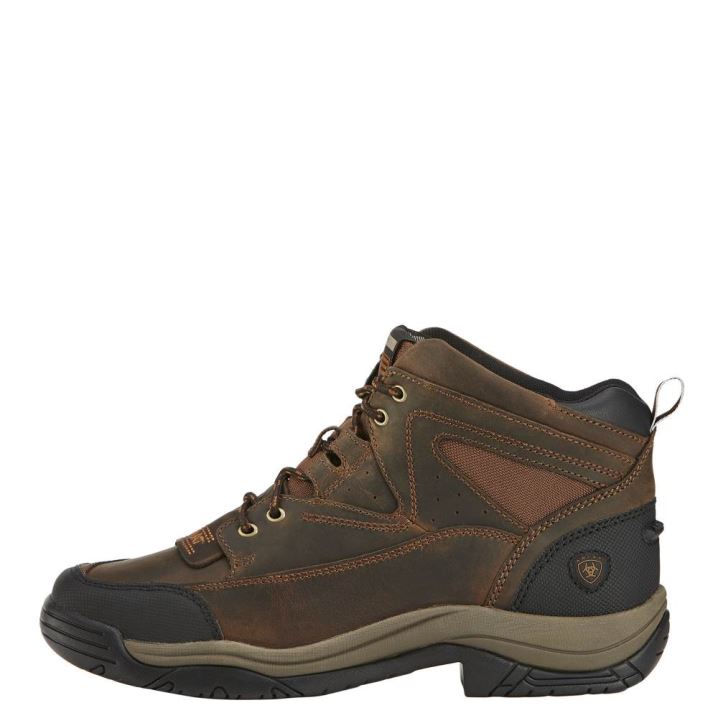 Ariat Terrain Wide Square Toe Rjave | f2L5Txwa