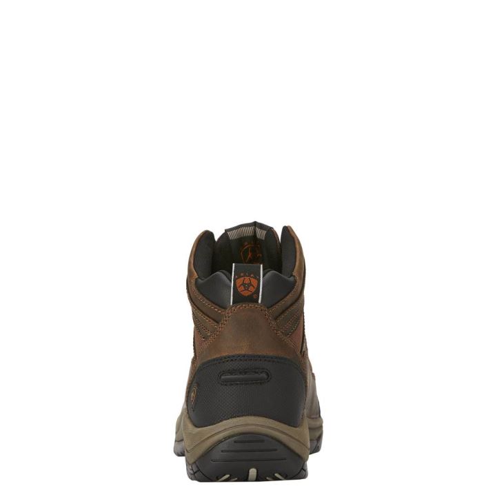 Ariat Terrain Wide Square Toe Rjave | f2L5Txwa