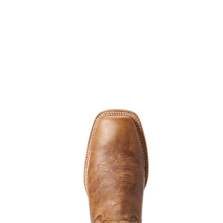 Ariat Toledo Western Boot Bež | 4cr8v0Nx