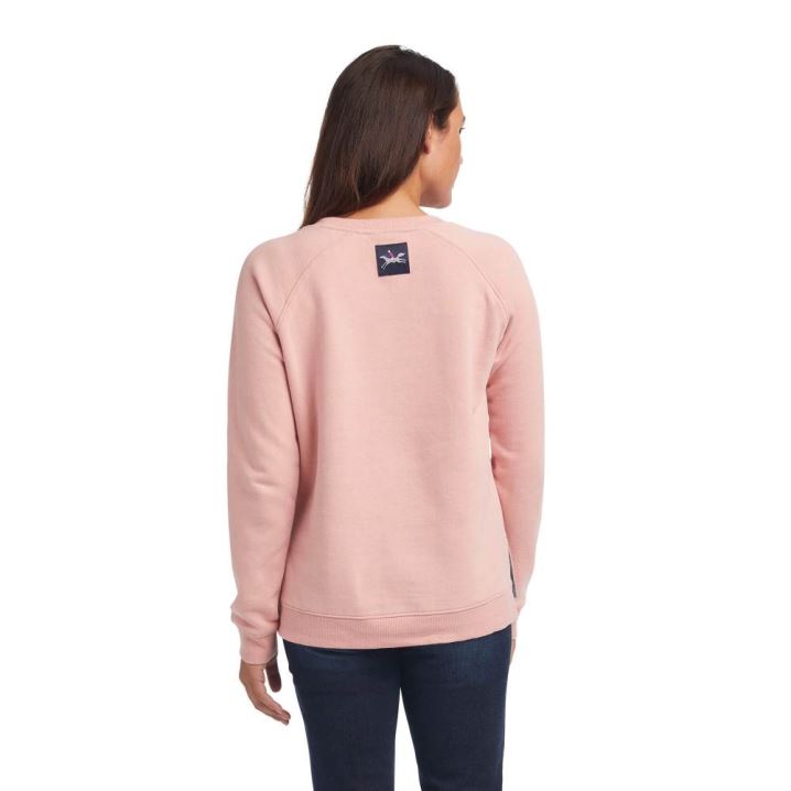 Ariat Torrey Sweatshirt Island Blush | 83ajhEmd