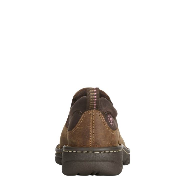 Ariat Traverse Rjave | NoEpBXxs