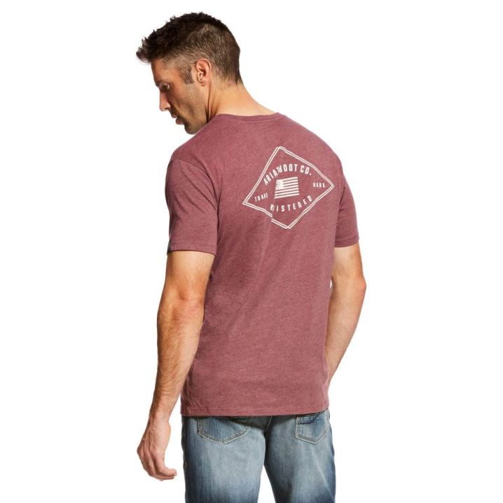 Ariat US Registered T-Shirt Bordo | qmuFWKWH