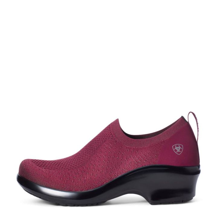 Ariat VentKnit Expert Clog Bordo | TDpf2TUz