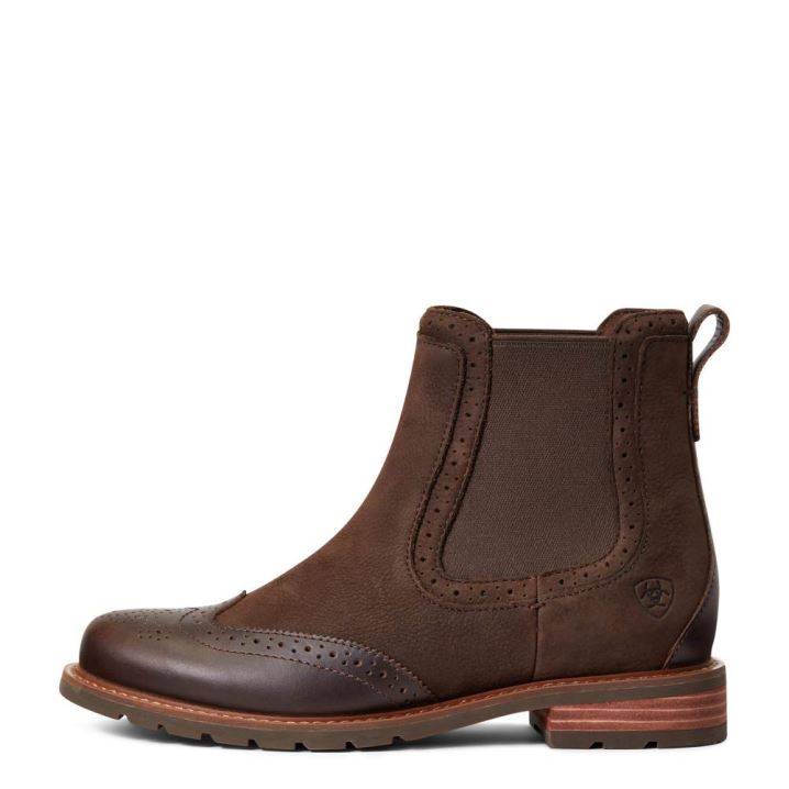 Ariat Wexford Brogue Waterproof Čokolade Rjave | 6tGdykHk