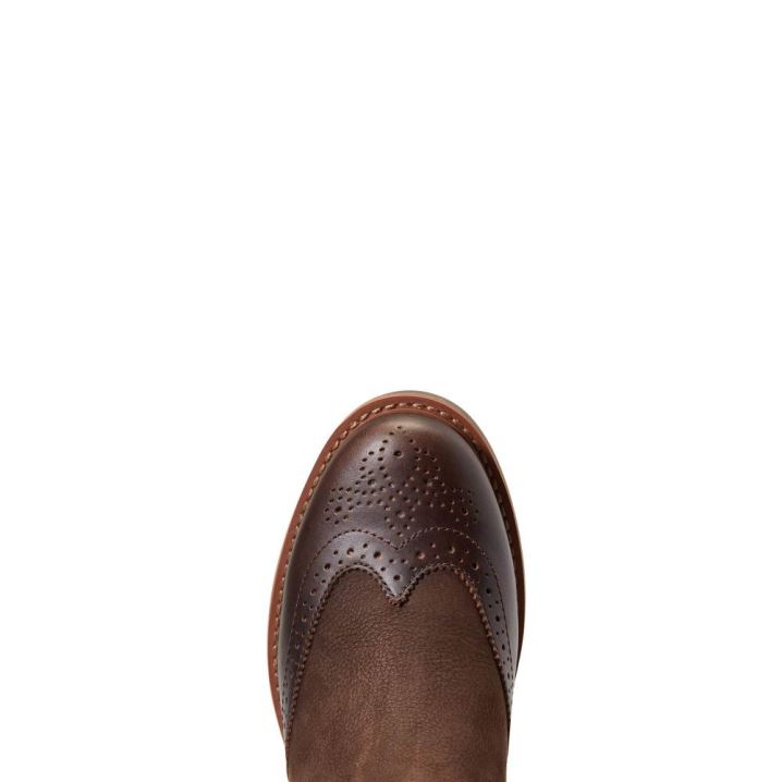 Ariat Wexford Brogue Waterproof Čokolade Rjave | 6tGdykHk