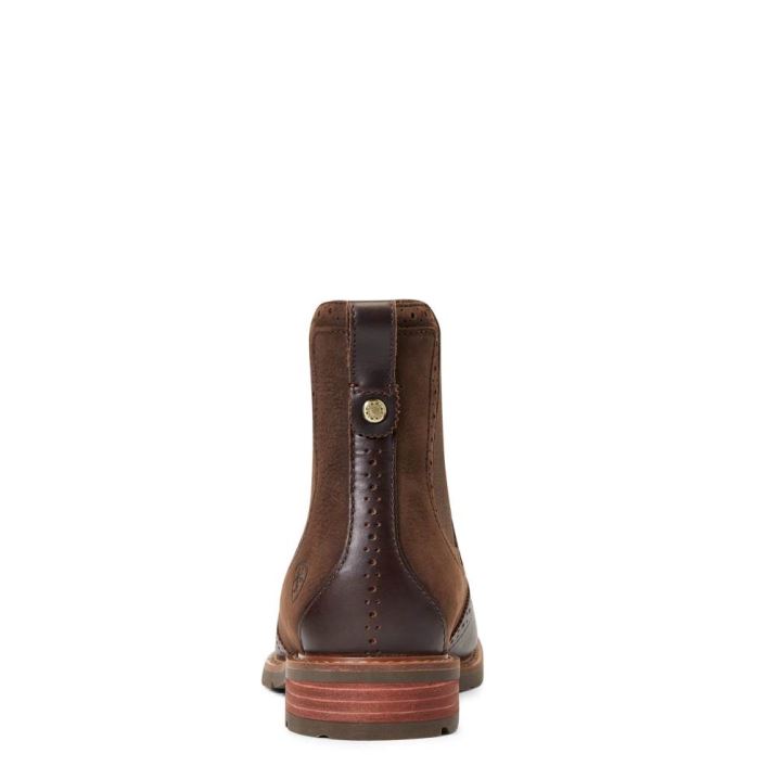 Ariat Wexford Brogue Waterproof Čokolade Rjave | 6tGdykHk