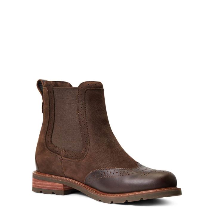 Ariat Wexford Brogue Waterproof Čokolade Rjave | 6tGdykHk