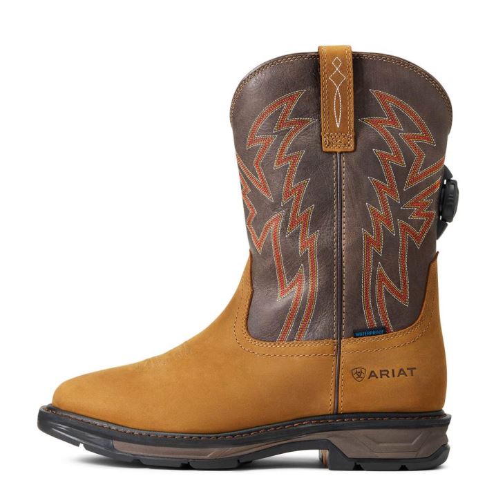 Ariat WorkHog XT BOA Waterproof Work Boot Aged Bark | 1n5sTnCy